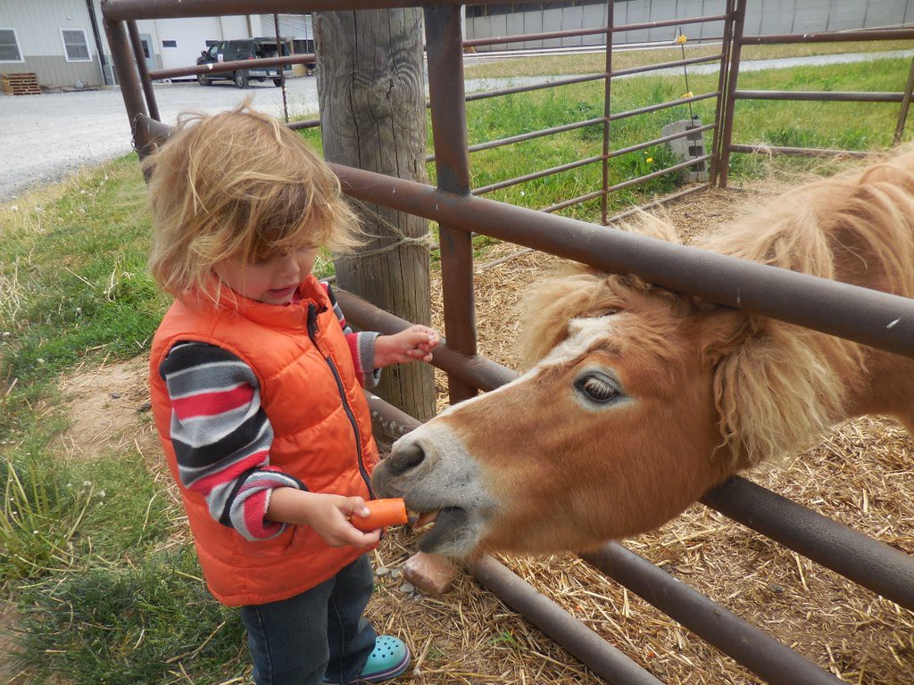 Feeding Sunny