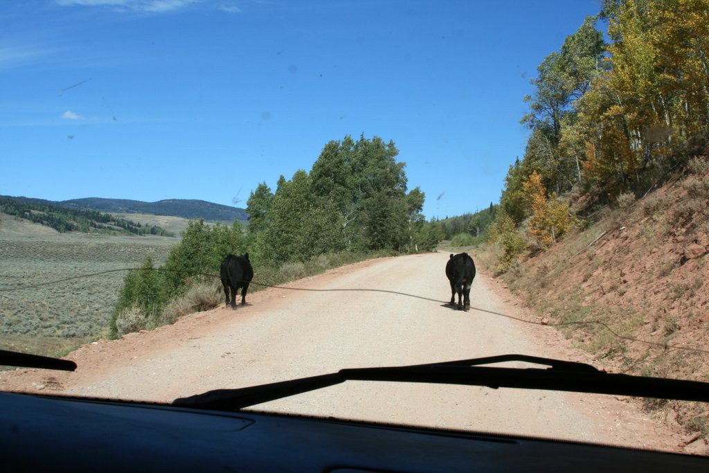 Wyoming traffic jam