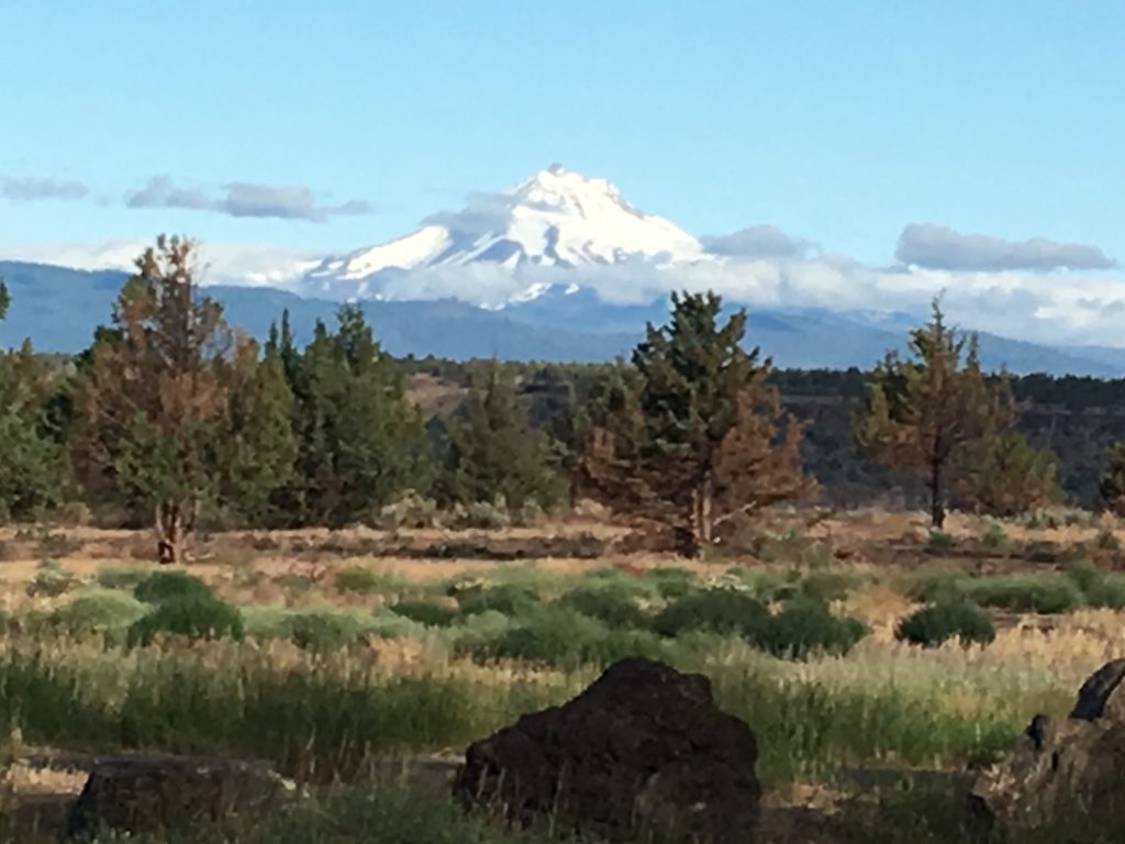 Mt. Jefferson, as seen from the campground 